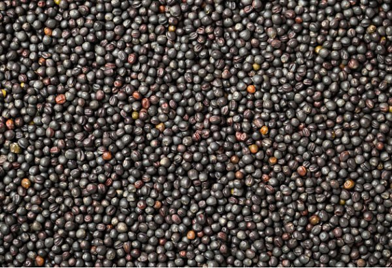 РАПС